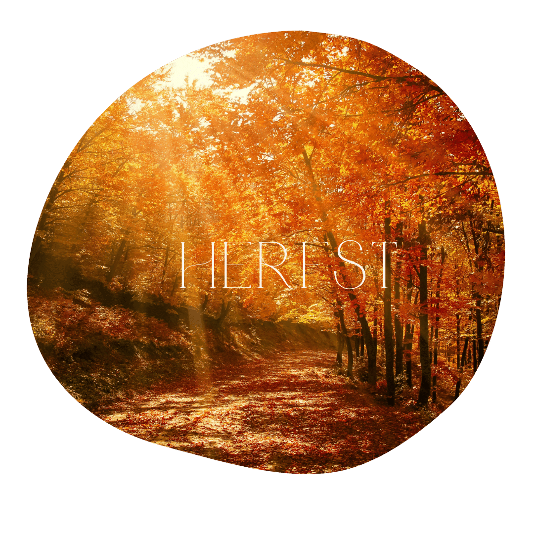 FYL - herfst