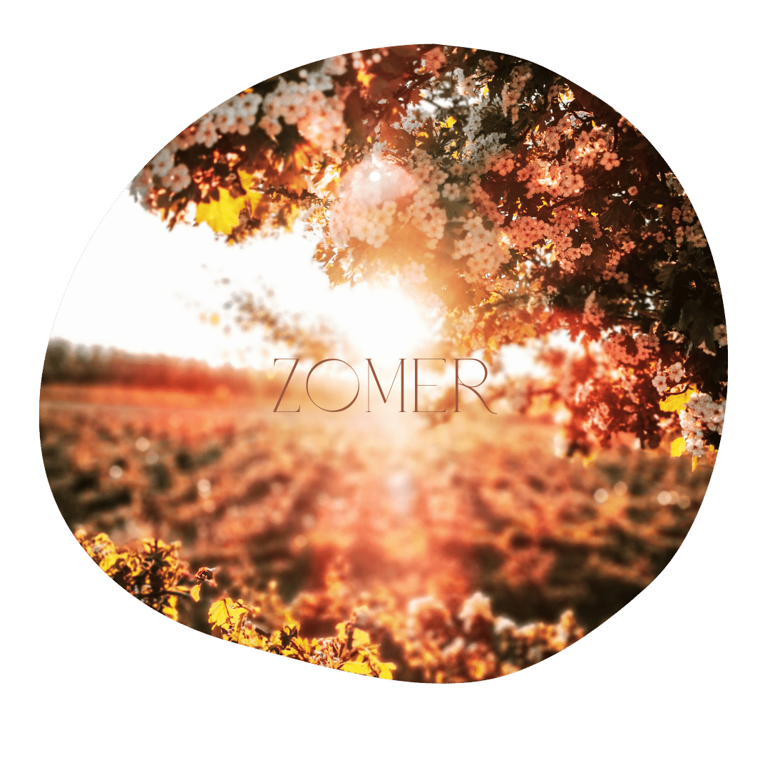 FYL - zomer