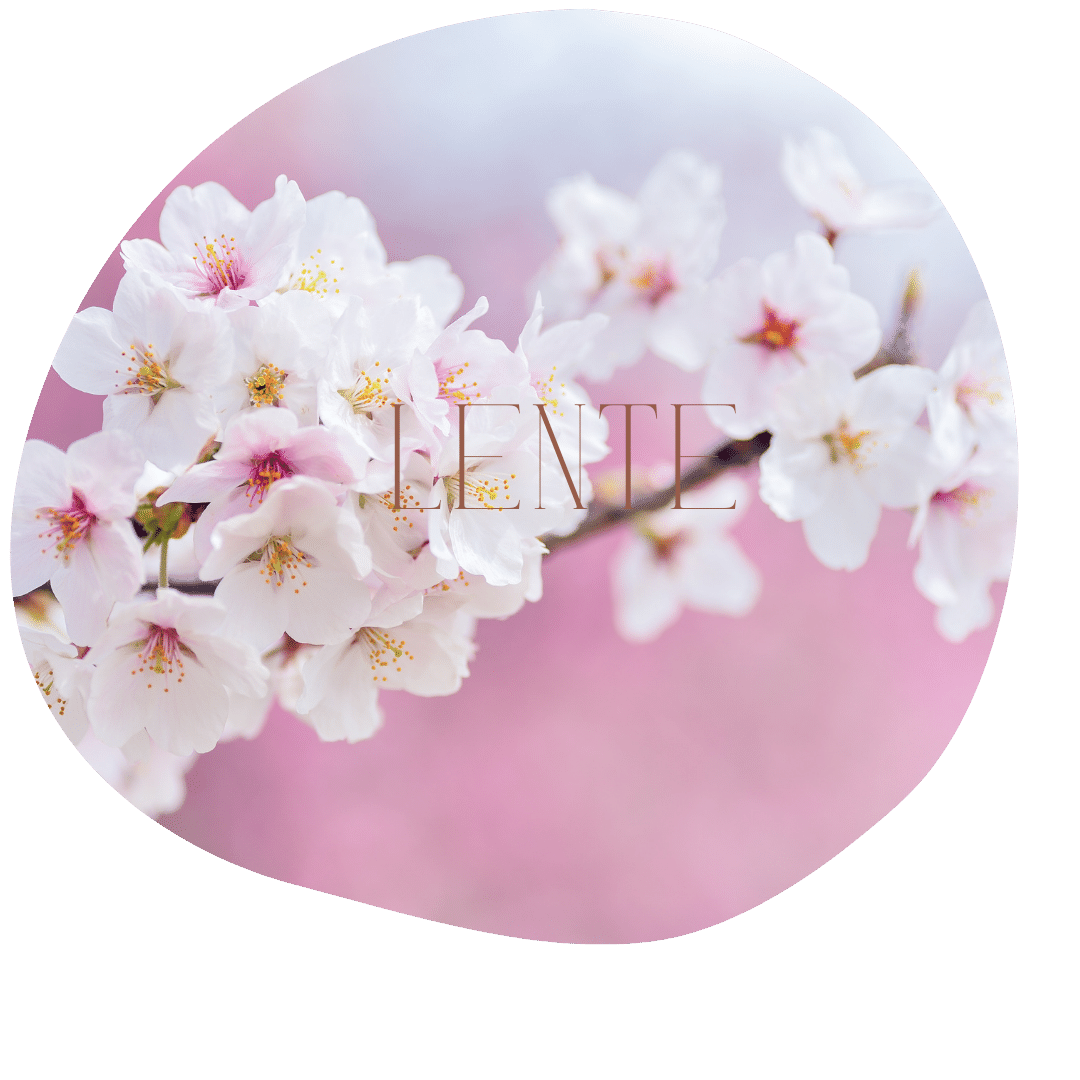 FYL - lente