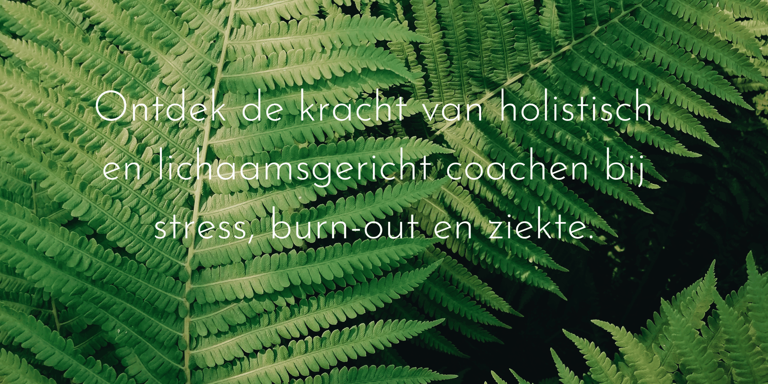 lichaamsgericht coachen-3